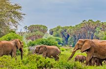 3 Days Samburu National Reserve Private Safari Package