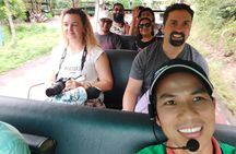 Private Morning My Son Sanctuary Trip from Hoi An/Da Nang w local