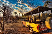 Safari in Victoria Falls and Zambezi National Park