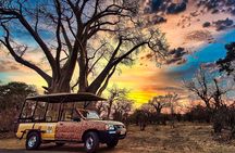 Safari in Victoria Falls and Zambezi National Park