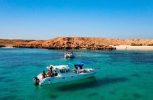 Snorkelling Trip at Dimaniyat Islands