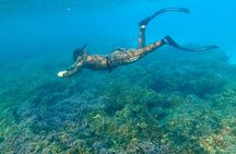 Snorkelling Trip at Dimaniyat Islands