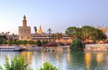 Excursion from Malaga to Seville with tickets to the Real Alcázar