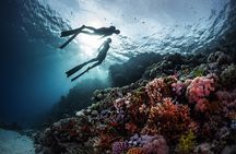Orange Island Scuba Diving and Snorkeling Tour from Hurghada 