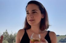 Private tour in Nafplio with Olive oil Tasting Tour in Corinth 
