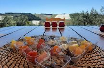 Private tour in Nafplio with Olive oil Tasting Tour in Corinth 