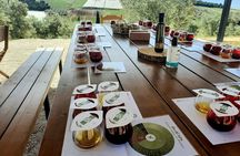 Private tour in Nafplio with Olive oil Tasting Tour in Corinth 
