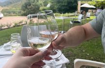 Franschhoek Shared E-Bike and Wine Tour