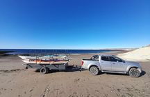 Kayak Paddling Experience with Sea Lions in Puerto Madryn