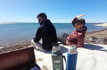 Kayak Paddling Experience with Sea Lions in Puerto Madryn