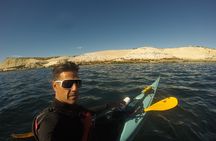 Kayak Paddling Experience with Sea Lions in Puerto Madryn
