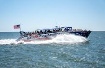 Sea Thunder Cruise-2 Hour Tour Surrounded by Dolphins in S.C