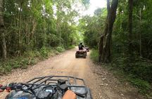 Jungle ATV Adventure: Unveiling Akumal's Enchanting Cenotes
