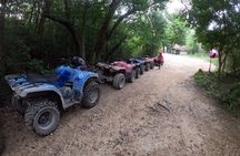 Jungle ATV Adventure: Unveiling Akumal's Enchanting Cenotes
