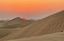 Evening Desert Safari Abu Dhabi with BBQ Dinner & Shows