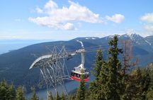 Private Grouse Mountain and Capilano Park Tour in Vancouver