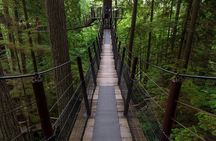Private Grouse Mountain and Capilano Park Tour in Vancouver
