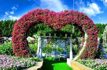 Dubai: Miracle Garden & Global Village Private Tour