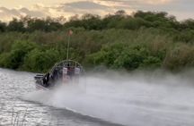 Private 90 Minutes Everglades Airboat Adventure