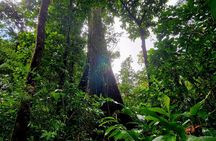 Full Day Hike Tour from Dominica