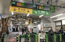 Private Ryogoku Walking Tour with Sumo Wrestler and Master Guide