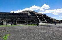 Teotihuacan Y Basilica with driver and guide included.