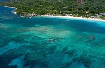Roatan: Zipline & Snorkel Combo