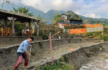 From Ha Noi: 3 Days and 2 Nights Sapa Trek with Local Guide