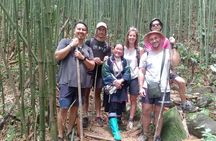 From Hà Nội : Sapa trek with local guide 2 days 1 night 
