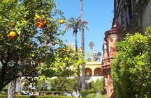 Small Group Tour of the Royal Alcazar of Seville