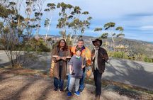 Private tours: Sydney, surrounds, and Blue Mountains.