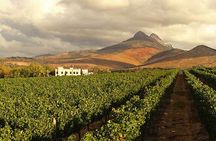 Enjoy the Franschhoek Tram Wine Tour with Included Tram Ticket