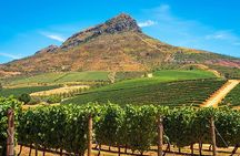 Enjoy the Franschhoek Tram Wine Tour with Included Tram Ticket