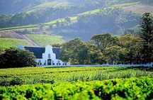 Enjoy the Franschhoek Tram Wine Tour with Included Tram Ticket