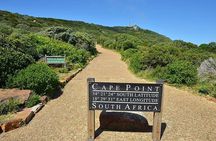 Full Day Excursion to the Cape of Good Hope and Penguins Tour