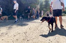 Make a dog's day and taste Greece in Skiathos