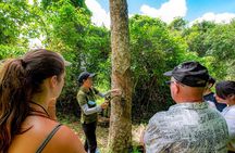 2 Hours Phuket Ethical Elephant Nature Park Visit