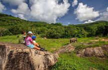 2 Hours Phuket Ethical Elephant Nature Park Visit
