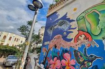 Tel Aviv Street Art Tour (Graffiti)