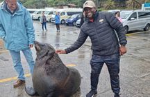 Private Cape Peninsula Group Tour In Cape Town South Africa