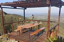 Olbia: visit a gin-making factory with tasting