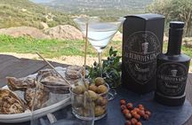 Olbia: visit a gin-making factory with tasting