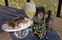 Olbia: visit a gin-making factory with tasting
