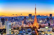 Tokyo Private Sightseeing Tour by Car- English speaking chauffeur