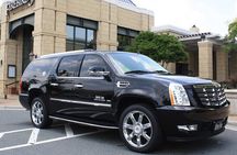 Half Day Private Tour of Geysers del Tatio