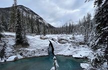 Banff, Yoho, and Icefield Parkway Private Tour