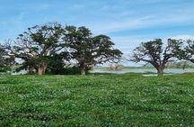 Yala safari from Galle / Unawatuna / Waligama / MIrissa / Matara