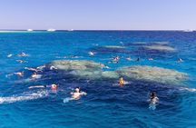 Full day Snorkeling and Diving Boat Trip in Tiran Island