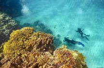 Full day Snorkeling and Diving Boat Trip in Tiran Island