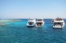 Full day Snorkeling and Diving Boat Trip in Tiran Island
